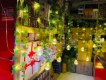 Wish Ball Fairy Light with Leaf – Golden LED Decorative Lighting